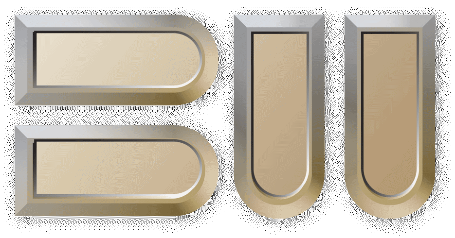 bw main logo